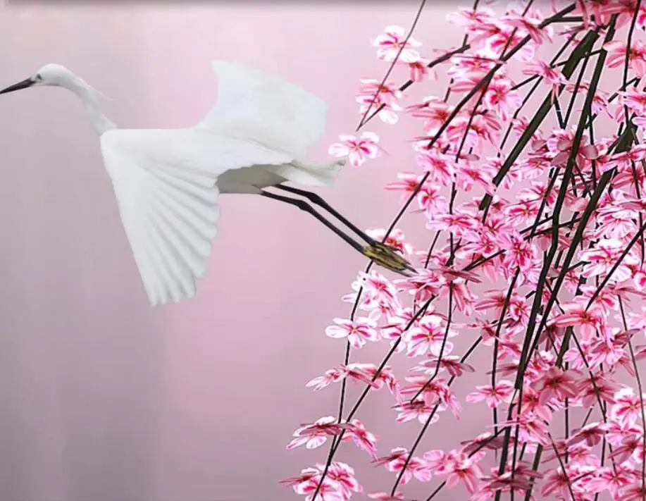 QQ20190221001104
