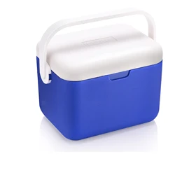 Luar Авто полиуретановая изоляционная коробка, медицинский холодильник для лекарств, холодная цепь, коробка для хранения, Portebla, ведро для льда, 5л, пищевая медицина, пластиковая крутая - Цвет: Blue White