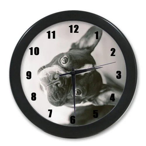 Optional! Funny French Bulldog 9.65" elegant wall clock for Home