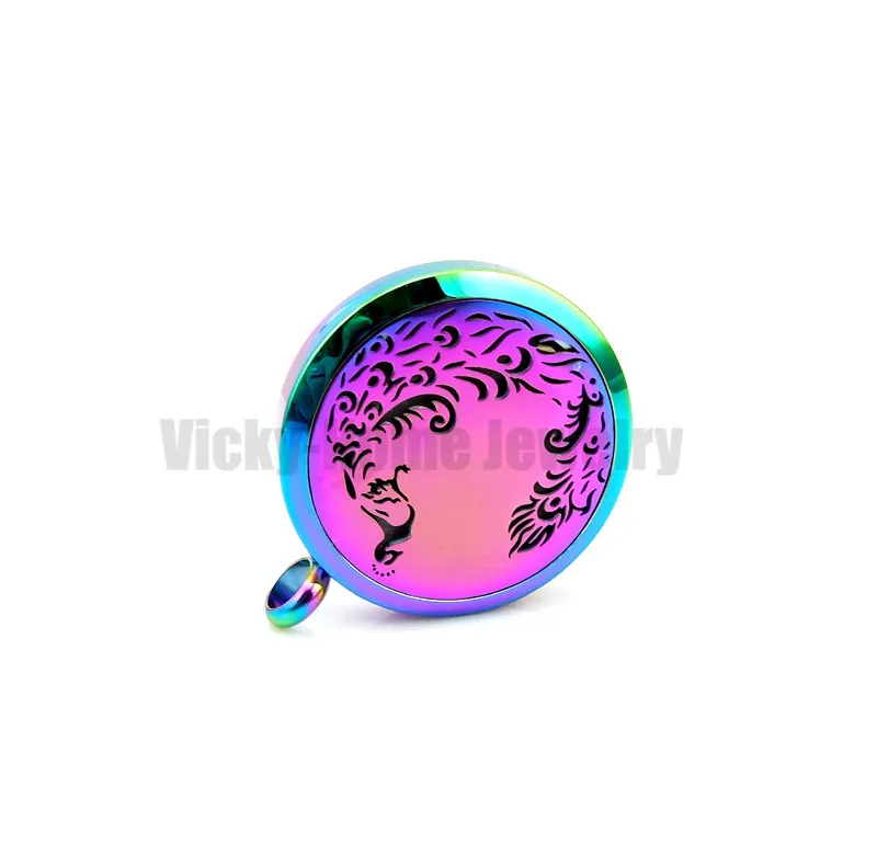 VH-PEO033-15 Essential Oil Locket