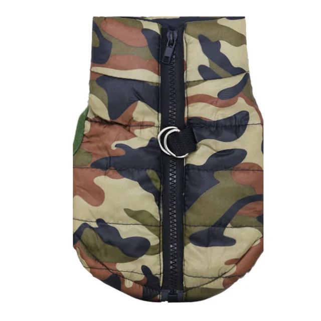 chihuahua camo clothes