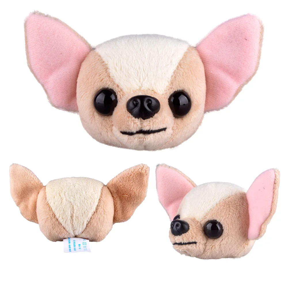 chihuahua head