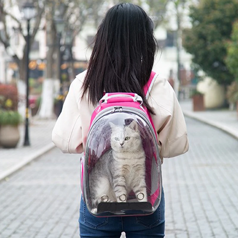 

Full view transparent health material portable cat backpack breathable colorful