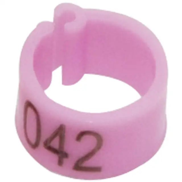 Image 11