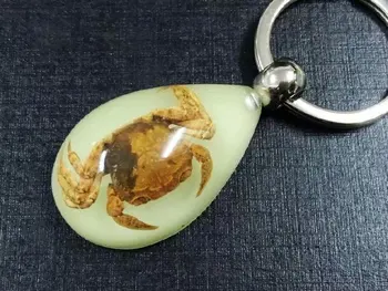 

free shipping yqtdmy 15 pcs charming glow drop crab cool style Taxidermy magic Keychain