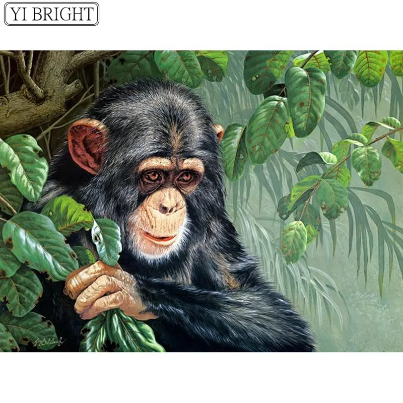 

Diamond Embroidery Animals 5D DIY Diamond Painting Full Square Picture Of Rhinestone Monkey Diamond Mosaic Gorilla XY1