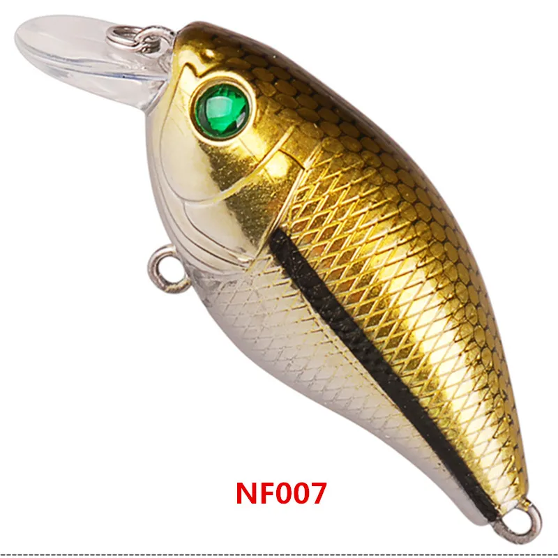NF007_