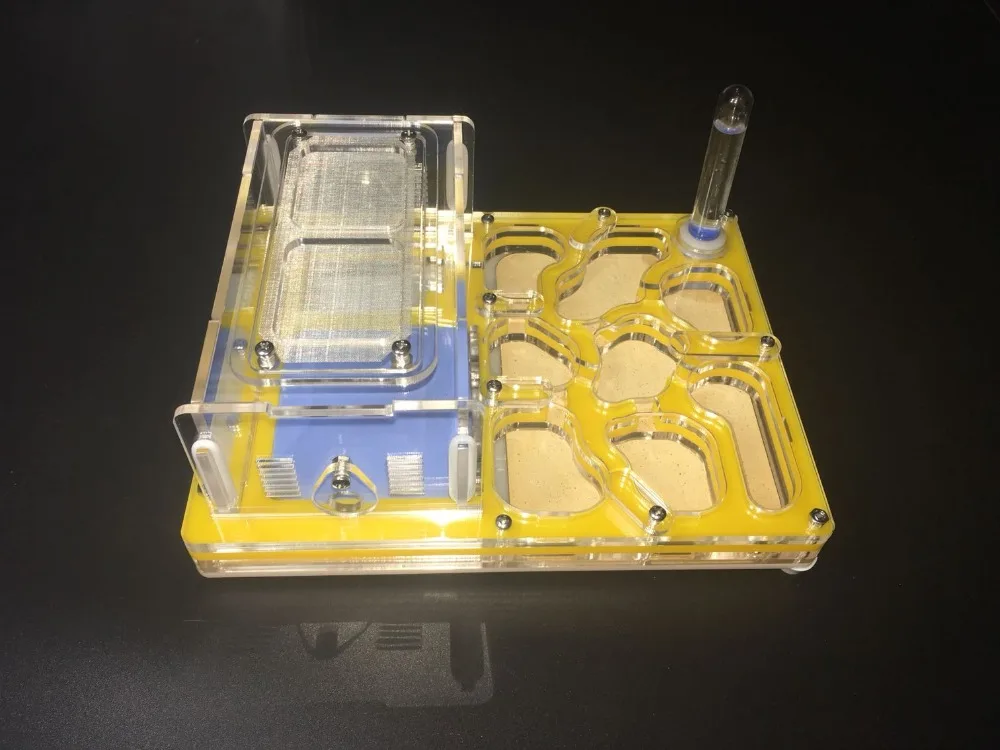 Plaster Flat Ants Nest Living Pet Ant Farm Alternative Ant DIY