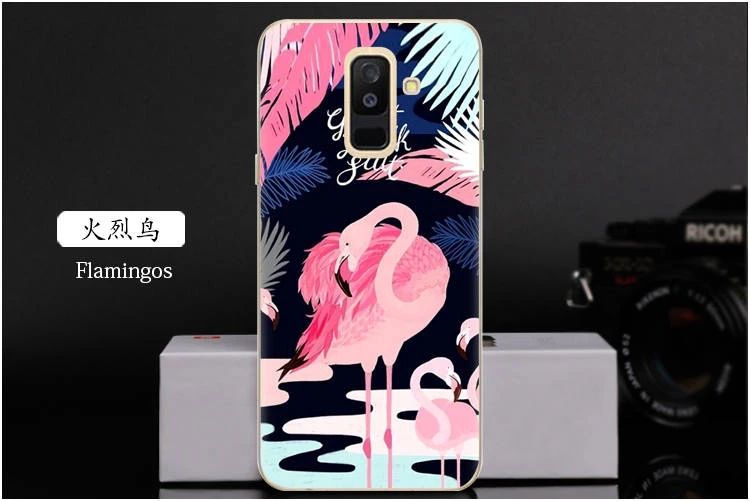  Flamingos