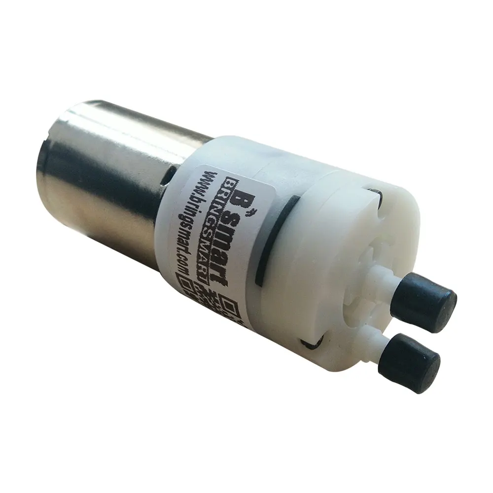 Buy Bringsmart Water Pump Mini 12V DC Pump Low Noise