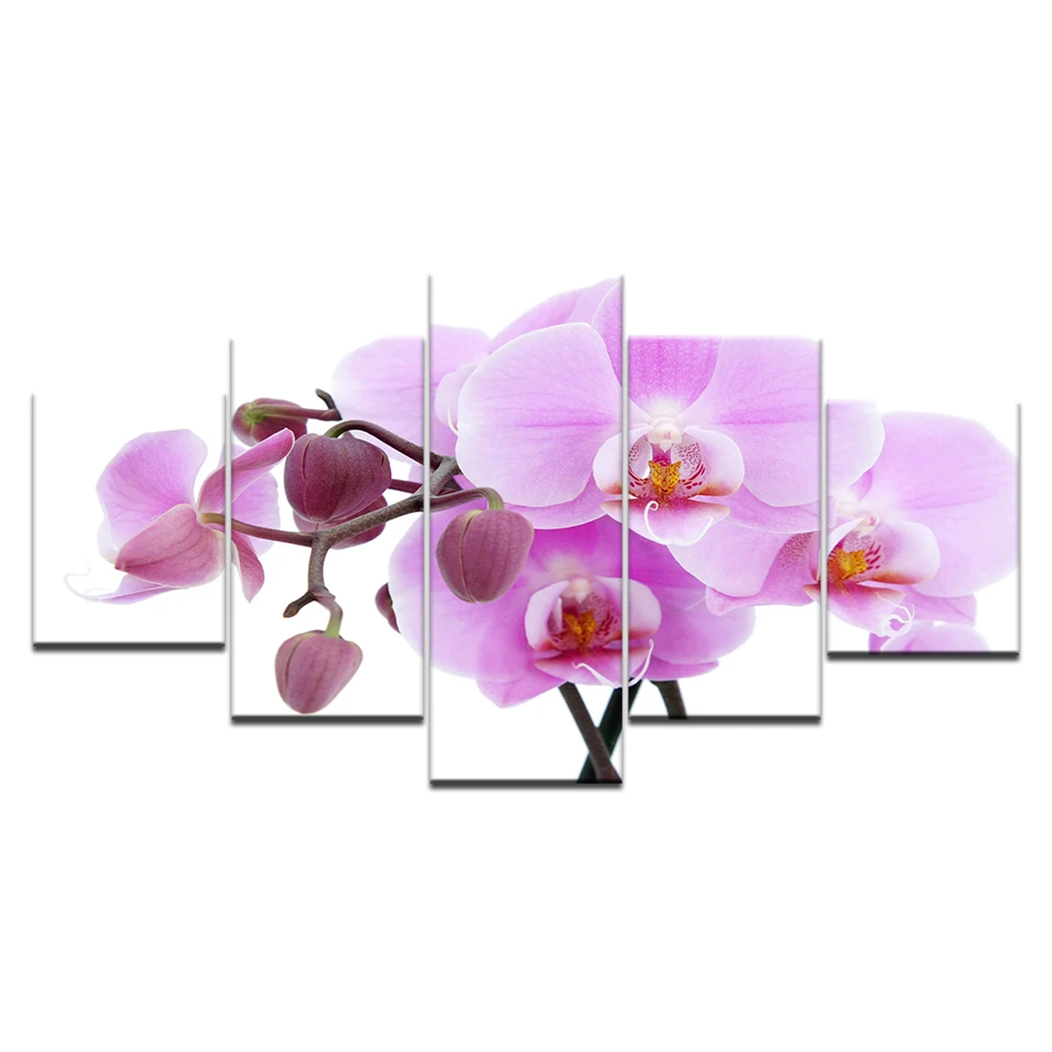 5 шт. Принт плакат холст стены искусства розовые орхидеи украшения искусства картина маслом модульные картины на стене гостиной(без рамки