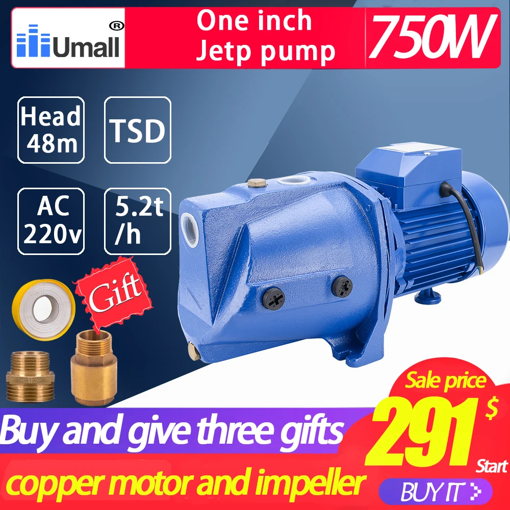 Водяной насос 1hp Jet Booster 220 В переменного тока чугунный самовсасывающий