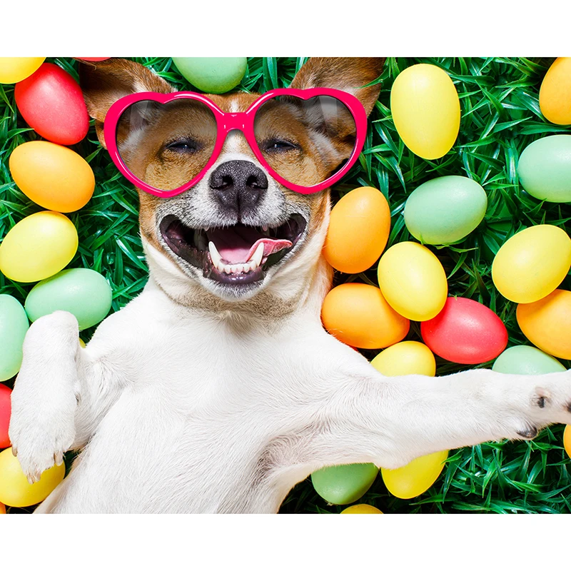 Holidays_Easter_Dogs_Eggs_Glasses_Jack_Russell_519873_2560x1440