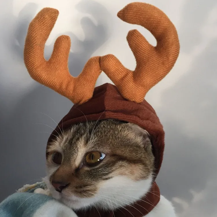 Рождественский подарок теплая зимняя шапка для собаки зимняя кошка собака Рождество Рога лося шапки накидка ПЭТ шапка-скафандр аксессуары для ухода
