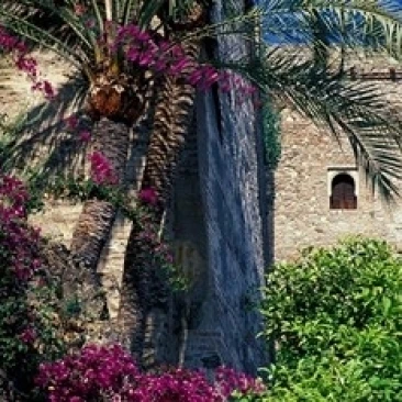 Plams  Flowers and Ramparts of Alcazaba  Malaga  Spain Poster Print by John & Lisa Merrill (18 x 12)