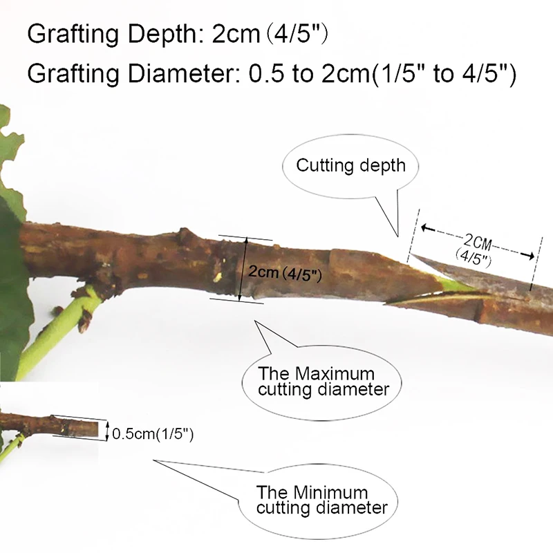 HTB1ouN5jQ9WBuNjSspeq6yz5VXaL