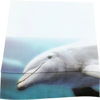 

4A 3D Shape Printed Sticky Notes,Kawaii Cute Sticky Notes,Printed With Risso's DolphIn,Self-Stick Notes,3.75'' x 4.13'',4A 8080