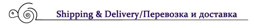 shipping and delivery