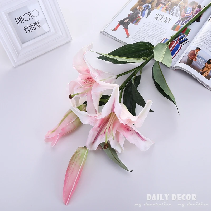 4339858581_135268012