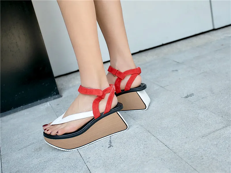 PU2A4652