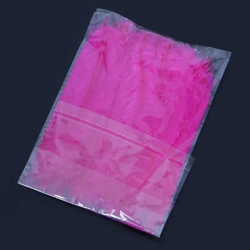 5090757379_840828262