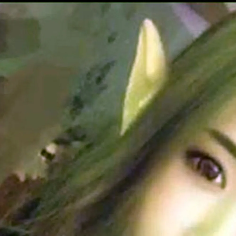 New-Mysterious-Angel-Elf-Ears-Cosplay-Accessories-Halloween-Party-Latex-Soft-Pointed-Prosthetic-Tips-False-ears (3)