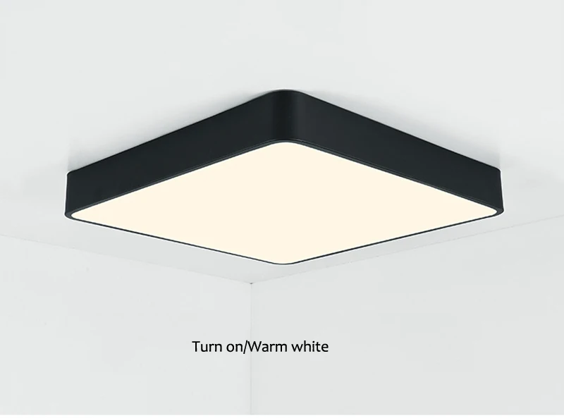 square ceiliing light (28)