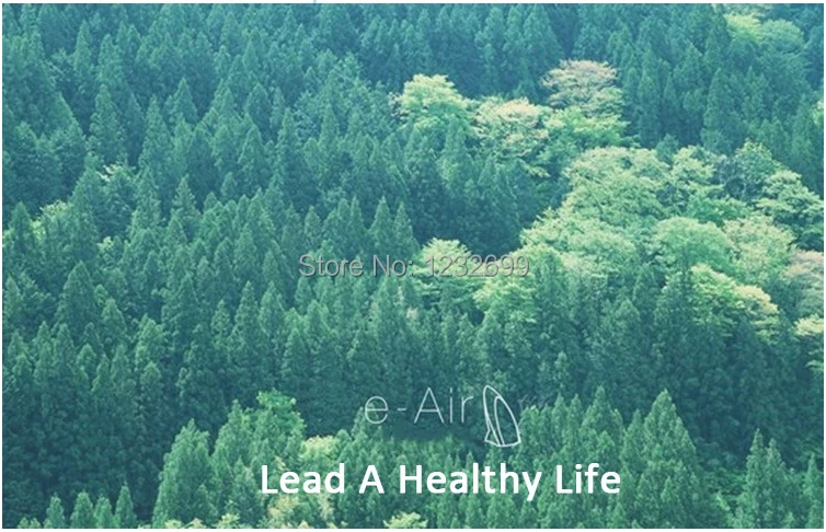 broadlink a1 lead.jpg