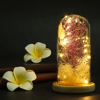 

Flower in a Glass LED Night Light Gypsophila Flower Vase with Wooden Base String Lighting Home Decor for Valentine's Gifts
