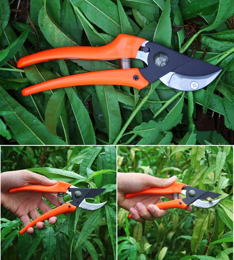 5c