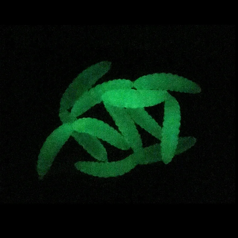wm01