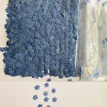 100 шт прессованный высушенный синий миозотис сильватика Forgetmenot цветок гербарий из растений ювелирные изделия открытка с пригласительным билетом чехол для телефона DIY