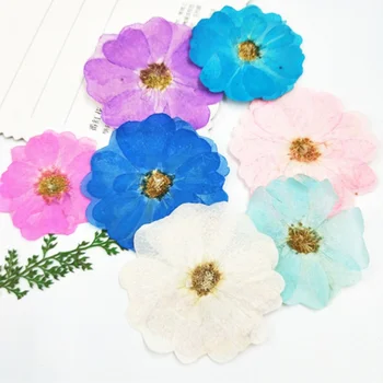 

2019 newest Chinese Rose RED Dried Pressed Flower bookmark material 1 lot/120pcs
