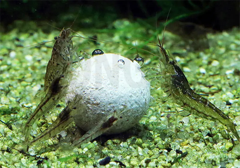 _2018-08-13T03-17-20.251Z