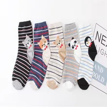 Весенние модные красивый мультяшный Пингвин панда Хлопковые женские носки Kawaii дышащие счастливые японские носки Calcetines Mujer