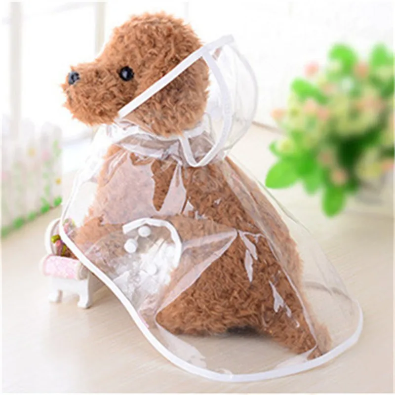 4410920882_860943259