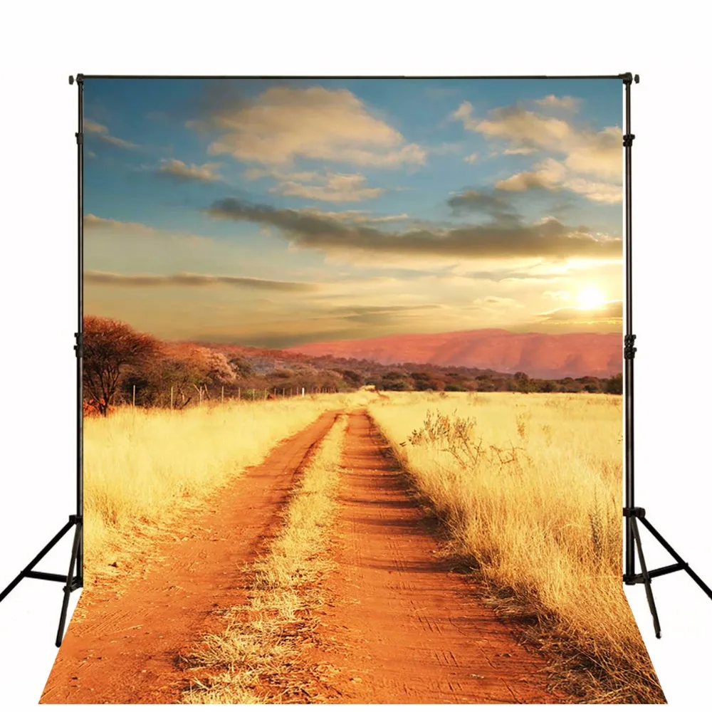 

2017 Road Scenic Photographic Backgrounds Children Photo Backdrops Toile De Fond Backdrops Vinyl Backgrounds For Photo Studio