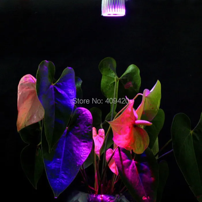 5 Вт Светодиодный Grow light E27 светодиодный лампы для растений Hydropoics свет парниковых органический полный спектр освещения лампы