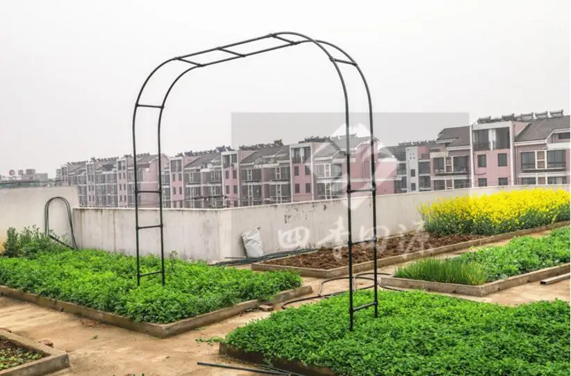 QQ20190408095055