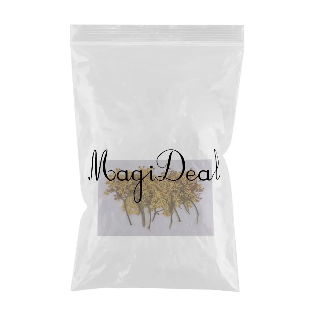 12 Pieces Natural Pressed Real Dried Flower for Soap Candle Making Decor Resin Casting DIY Ornament Craft