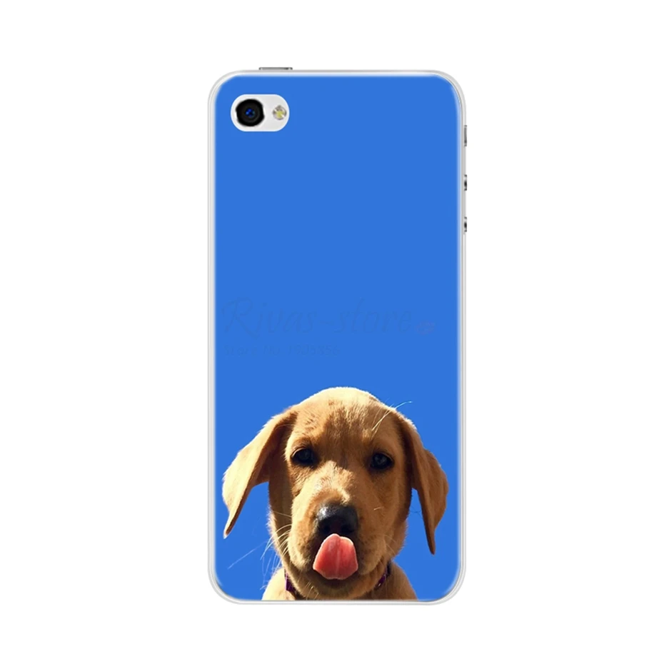 Чехол для телефона для iPhone 4, 4S, 5, SE, 5S, 5SE, Fundas, Coque, силиконовый чехол, мягкая задняя крышка для iPhone 4, 5 S, чехол, милый цветок, ультра тонкий - Цвет: Шампанское