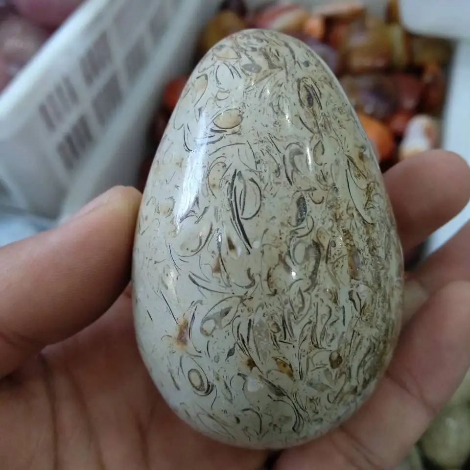 

DINOSAUR BONE SPHERE DINO NATURAL FOSSIL AGATE DECORATIVE BALL EGG