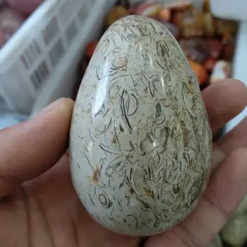 

DINOSAUR BONE SPHERE DINO NATURAL FOSSIL AGATE DECORATIVE BALL EGG