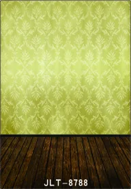 

5x10ft Vinyl Custom Digital Photography Backdrops Props Photo Studio Backgrounds SK-8788