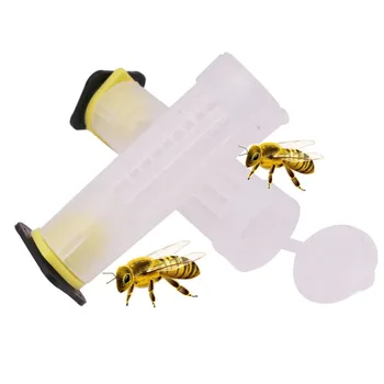 

New Beekeeping Tools 150 pcs Beehive Bee King Queen Station Protective Cover Bee Breeding Queen Cage Cultivate The Queen Bee