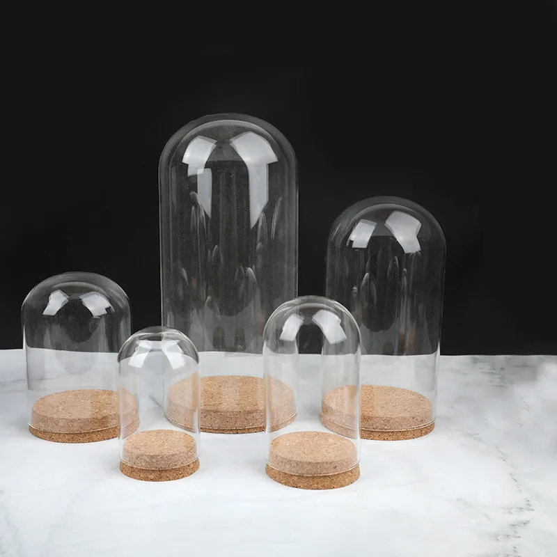 12*26cm Big Size Glass Dome Vase Home Decoration Cork Base Transparent Cover DIY Friend Birthday Favor Gift Wedding Live Prop 3