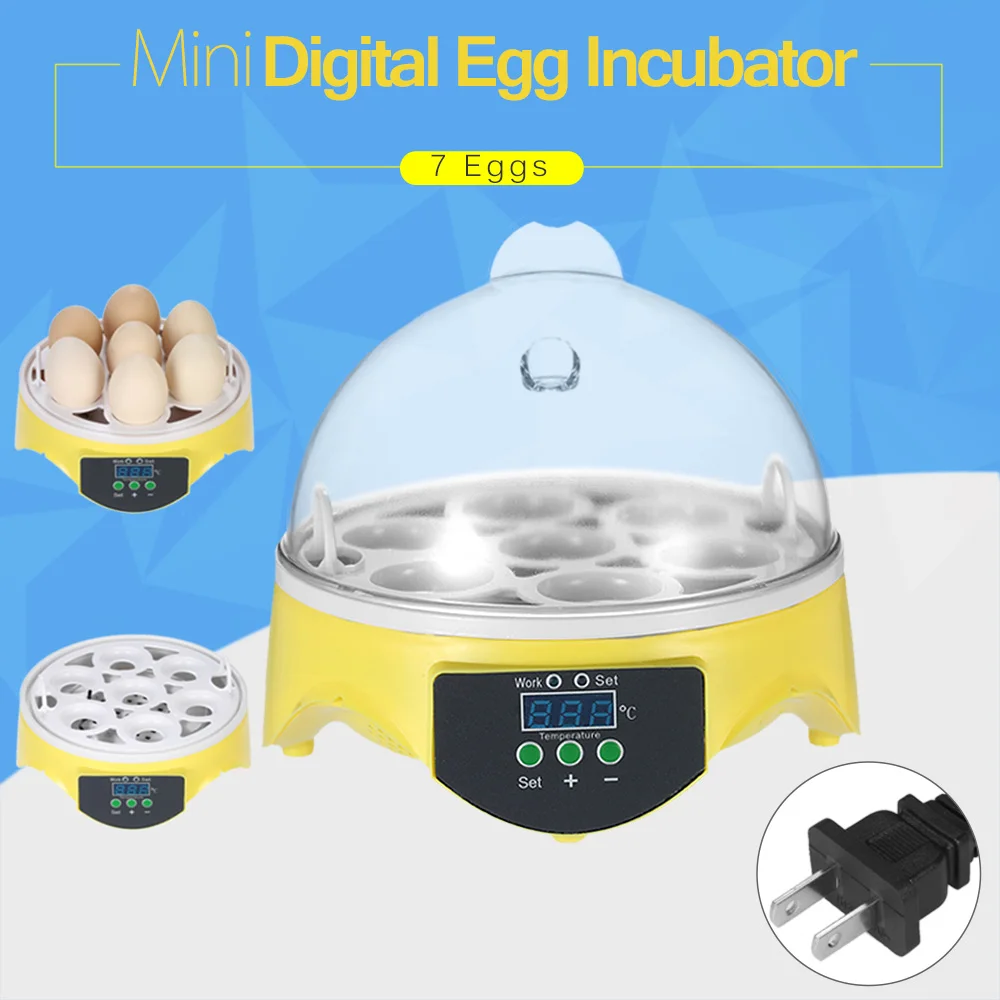 7 Eggs Incubator Hatcher Transparent Eggs Hatching Machine Automatic Temperature Control for Chicken Duck Bird Eggs 7 Eggs Incubator Hatcher Transparent Eggs Hatching Machine Automatic Temperature Control for Chicken Duck Bird Eggs