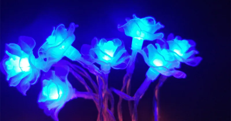 BLUE ROSE LIGHTS