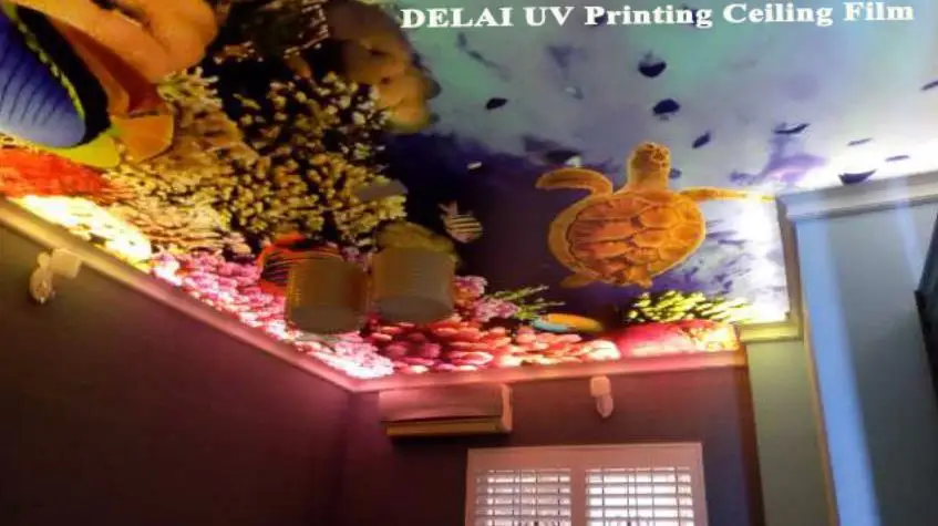 ceiling film 