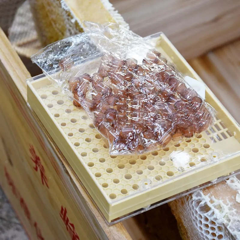 Новые товары для пчеловодства пластиковый инструмент пчеловода пчелиный дом королева коробка для ухода пчелиная культивирование свободное переключение насекомых